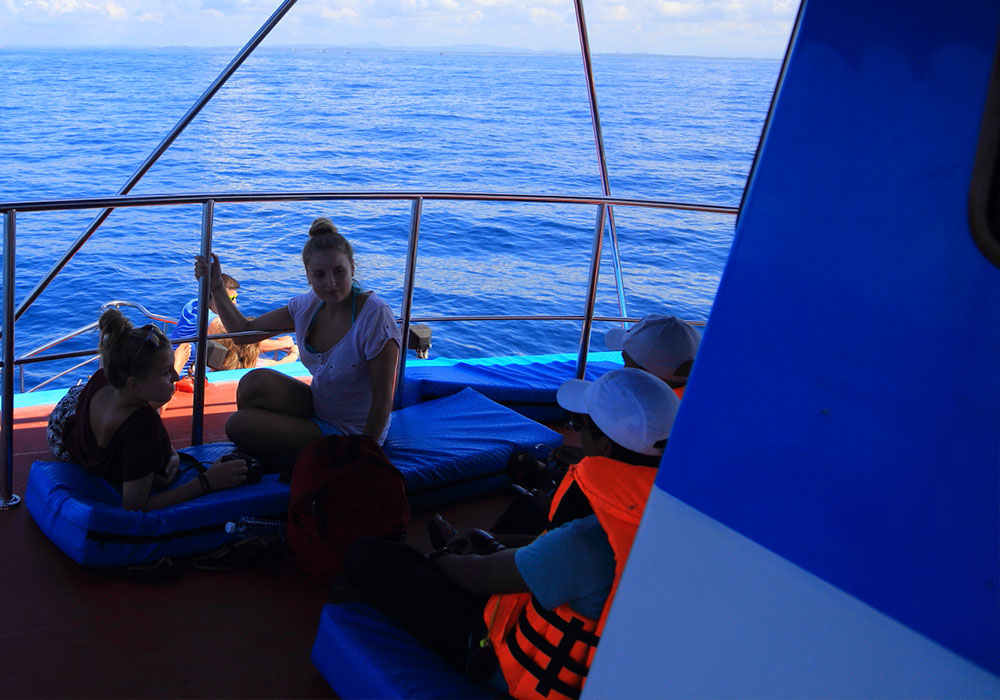 Mirissa Whale Watching - Mirissa Whale Watching Tours - Whale and Dolphin Watching Boat Tours in Mirissa - Whale Watching Mirissa - Mirissa Whale watching Trips in Sri Lanka - Dolphin Watching trips in Mirissa - Trips in Whale Watching