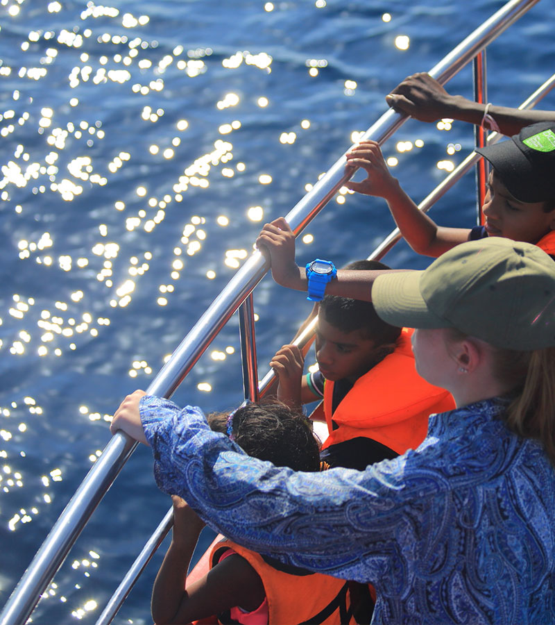 Mirissa Whale Watching - Mirissa Whale Watching Tours - Whale and Dolphin Watching Boat Tours in Mirissa - Whale Watching Mirissa - Mirissa Whale watching Trips in Sri Lanka - Dolphin Watching trips in Mirissa - Trips in Whale Watching
