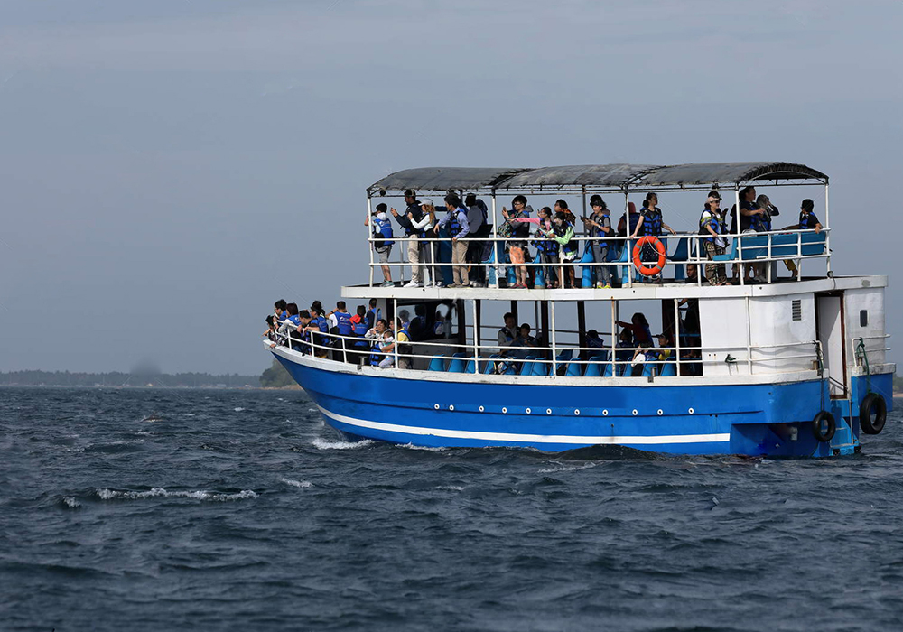Trincomalee Whale Watching Tours - Whale and Dolphin Watching Boat Tours in Trincomalee - Whale Watching Trincomalee - Trincomalee Whale watching Trips in Sri Lanka - Trincomalee Whale Watching - Dolphin Watching trips in Trincomalee - Trips in Whale Watching