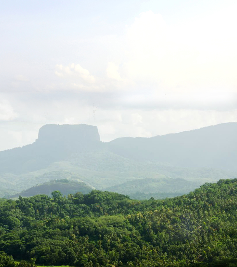 Bible Rock Sri Lanka, Bible Rock Hiking guide, Bathalegala Hiking guide, Bathalegala Rock, Bible Rock hike, Bible Rock in Mavanella  