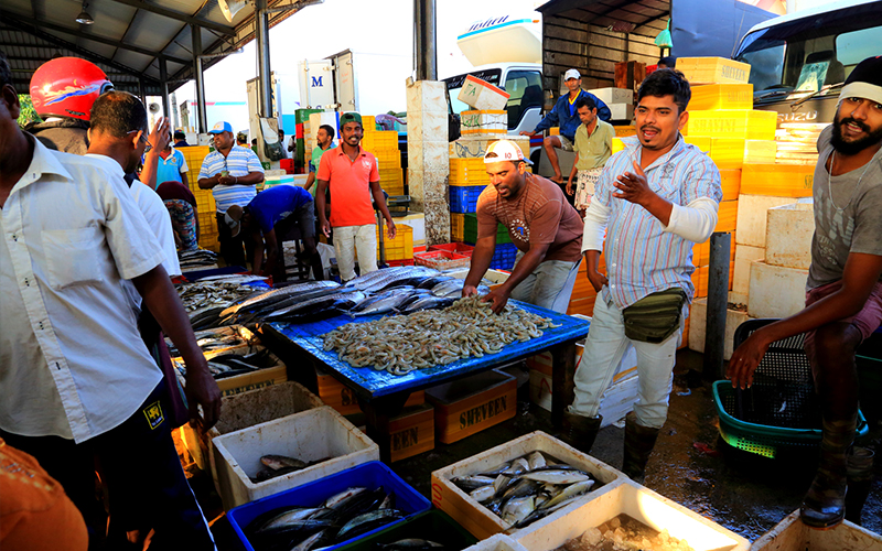 wine and dine in galle fort, galle fort tours, spend a night in galle fort, galle fort eateries  
