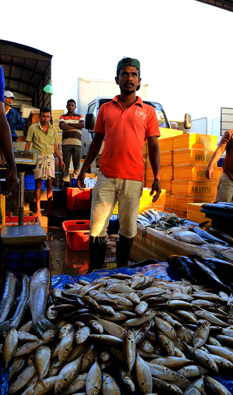 wine and dine in galle fort, galle fort tours, spend a night in galle fort, galle fort eateries  