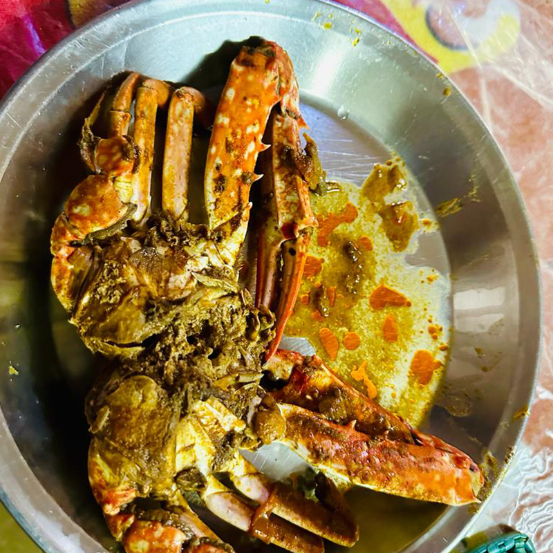 Eat an authentic Jaffna meal at a local home, Authentic Tours Jaffna, Authentic Jaffna meal in Sri Lanka, Authentic meal in Sri Lanka, Authentic Experience Sri Lanka, Jaffna Tours Sri Lanka  