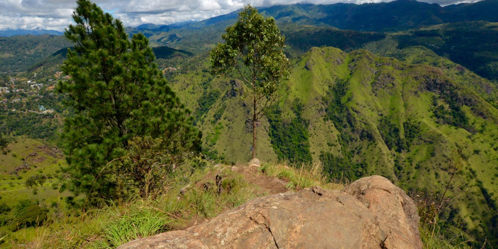 Ella Rock Hike - Ella Trekking Trips in Sri Lanka -  Hiking Ella Rock in Sri Lanka - Trek to Ella - Trekking Tours in Ella, Sri Lanka - Hiking Ella Gap - Hike to Ella Rock - Climb to Ella Rock