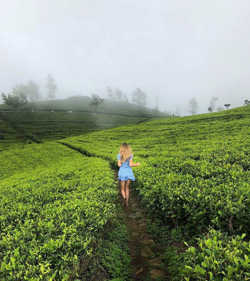 Ella Rock Hike - Ella Trekking Trips in Sri Lanka -  Hiking Ella Rock in Sri Lanka - Trek to Ella - Trekking Tours in Ella, Sri Lanka - Hiking Ella Gap - Hike to Ella Rock - Climb to Ella Rock