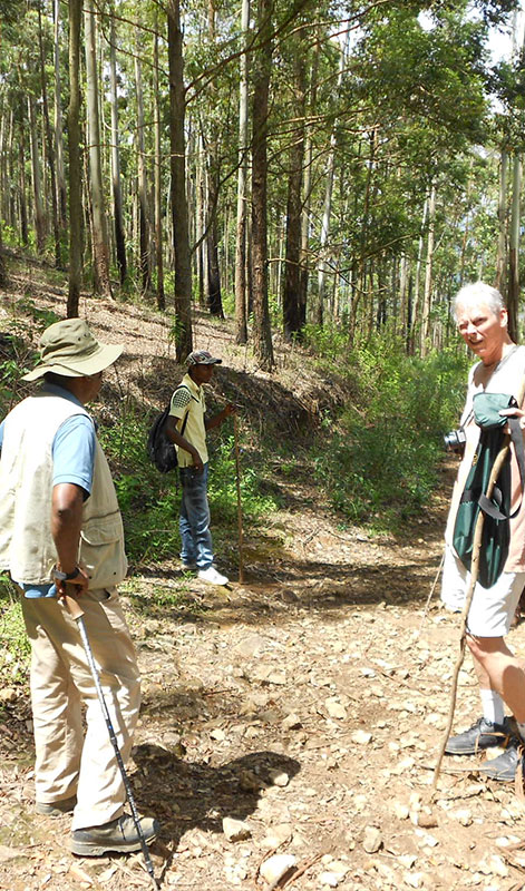 Ella Rock Hike - Ella Trekking Trips in Sri Lanka -  Hiking Ella Rock in Sri Lanka - Trek to Ella - Trekking Tours in Ella, Sri Lanka - Hiking Ella Gap - Hike to Ella Rock - Climb to Ella Rock
