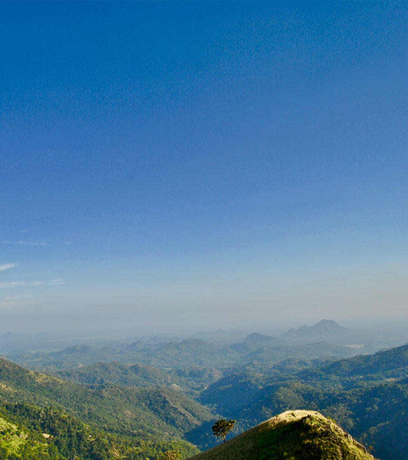Little Adam's Peak Sri Lanka - Climbing Little Adam's Peak - Ella - Hiking Little Adam's Peak in Sri Lanka - Trek to Little Adam's Peak - Ella Hike - Ella Trekking Tours - Mini Adams Peak - Ella, Sri Lanka