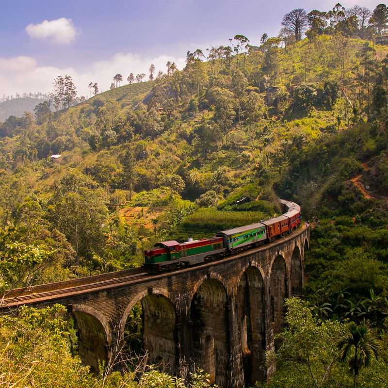 Walk to the Demodara Nine Arch Bridge in Ella - 9 Arch Bridge in Ella, Sri Lanka - Ella Trekking Trips - 9 Arch Bridge demodara - Trek to Ella