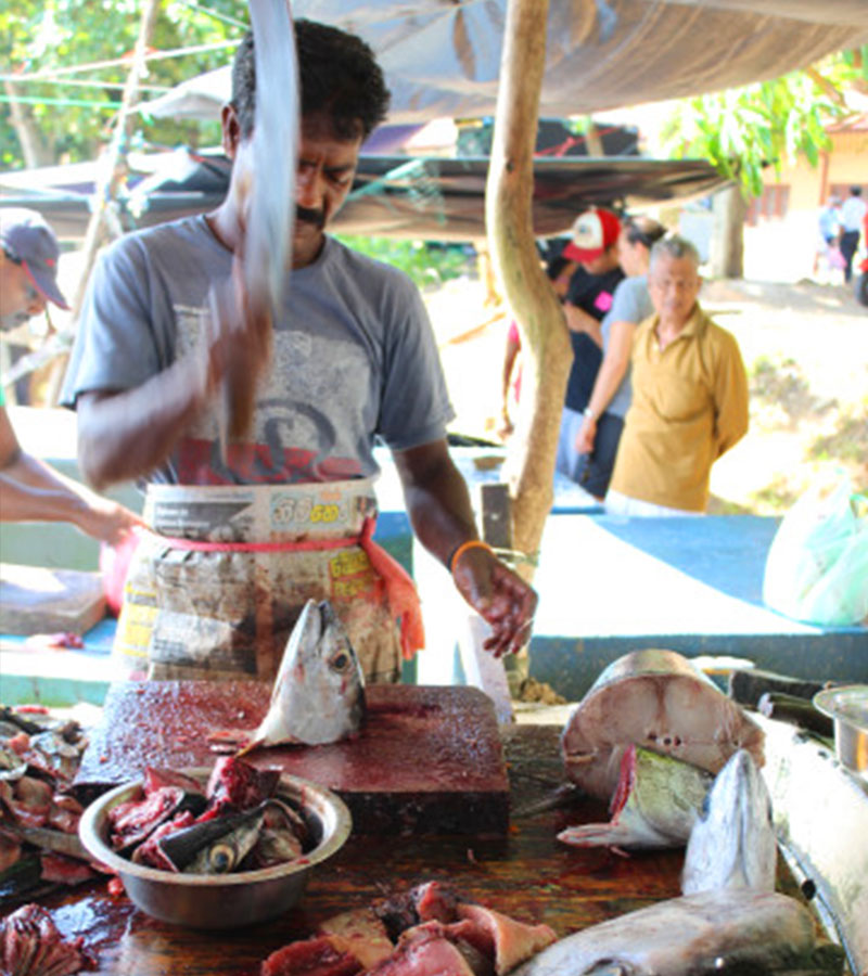 Learn how to cook a Sri Lankan Meal, Sri Lanka cooking Demonstrations, Learn to Cook a Sri Lankan Meal, Sri Lanka Cooking Demos, Cooking lessons in Galle, Cooking demonstrations in Galle, Galle Cooking Lesson