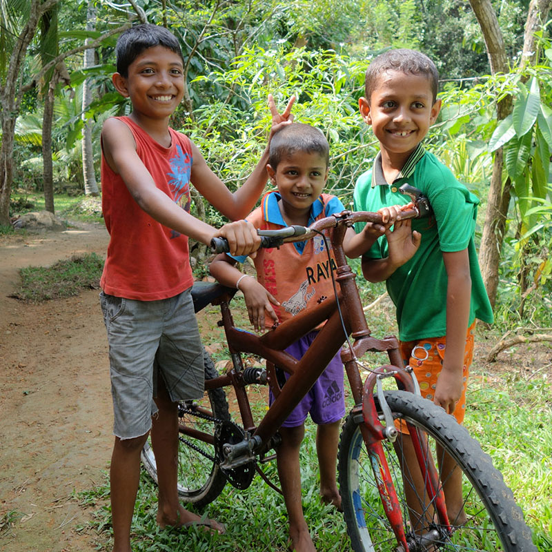 Cycling Trips in Galle - Cycle to Galle - Explore Country side of Galle by Cycles - Cycling Excursions in Galle - Cycling Tours in Galle Fort - Cycling in Galle Fort - Country side Cycling in Galle