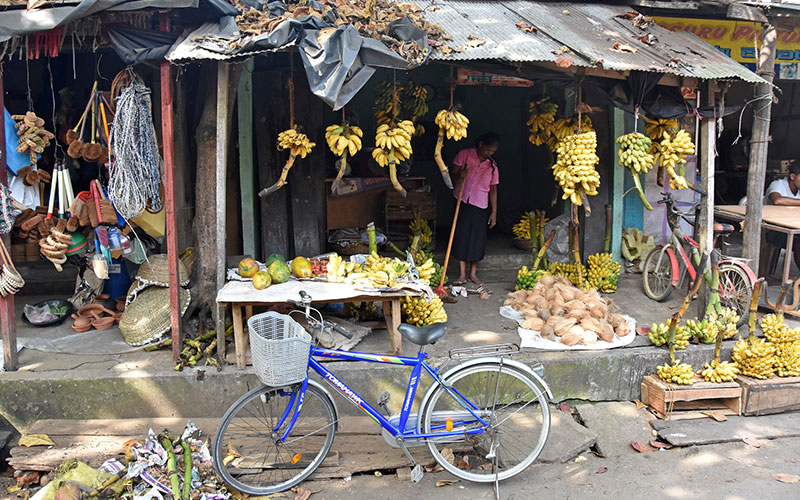 Cycling Trips in Galle - Cycle to Galle - Explore Country side of Galle by Cycles - Cycling Excursions in Galle - Cycling Tours in Galle Fort - Cycling in Galle Fort - Country side Cycling in Galle