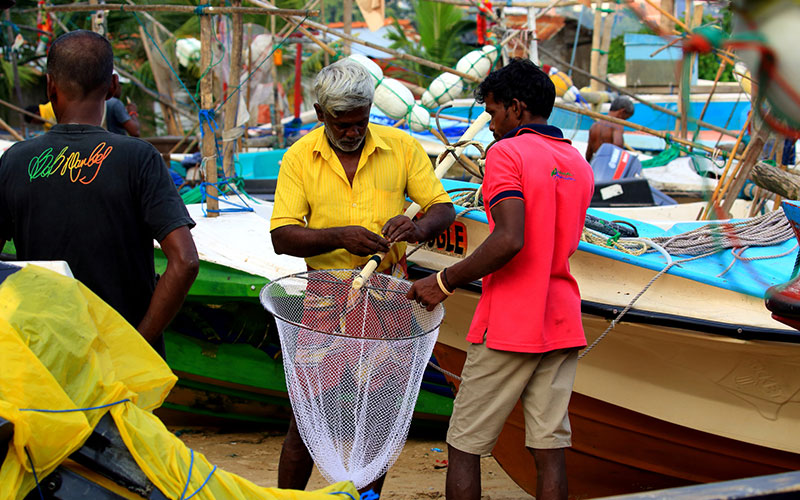 Local Markets in Galle - Street Markets in Galle - Galle Street Markets Sri Lanka - Vegetable and Fruit Market, Galle Sri Lanka - Galle Fish Markets - Galle Markets in Sri Lanka - Sri Lanka Market Visit Experience - Market Visit in Galle