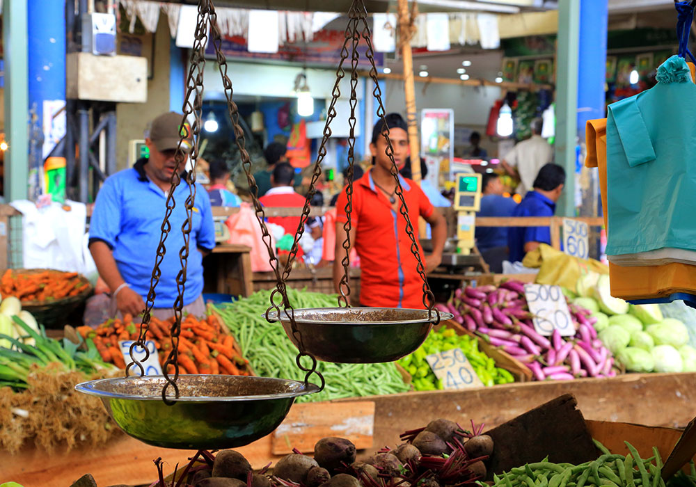 Local Markets in Galle - Street Markets in Galle - Galle Street Markets Sri Lanka - Vegetable and Fruit Market, Galle Sri Lanka - Galle Fish Markets - Galle Markets in Sri Lanka - Sri Lanka Market Visit Experience - Market Visit in Galle