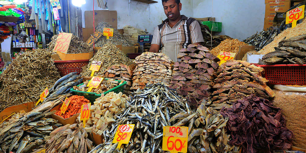 Local Markets in Galle - Street Markets in Galle - Galle Street Markets Sri Lanka - Vegetable and Fruit Market, Galle Sri Lanka - Galle Fish Markets - Galle Markets in Sri Lanka - Sri Lanka Market Visit Experience - Market Visit in Galle