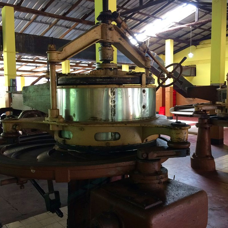 A visit to a tea factory in Sri Lanka - Tea Plantations of Sri Lanka - Tea Estate Visit in Sri Lanka - Sri Lankan Tea Experience - Tea plantations in Sri Lanka - Visiting a Tea Factory in Galle, Sri Lanka
