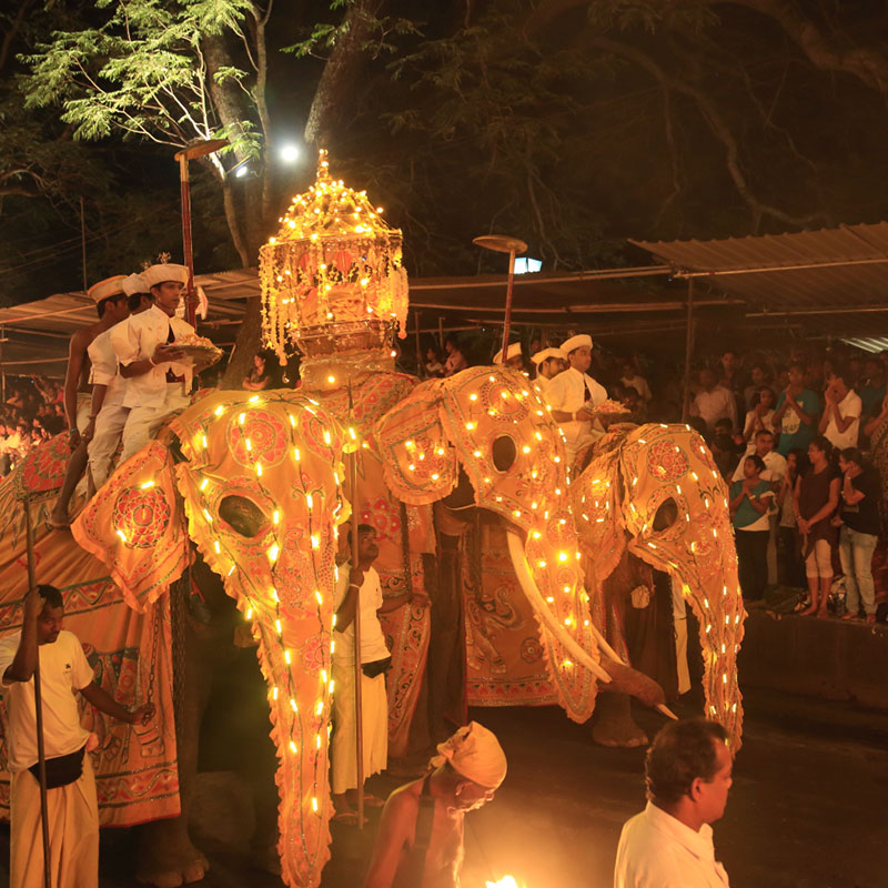 Kandy Perahera Festival 2025 dates updated