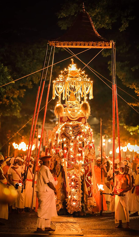 Kandy Perahera Festival 2023