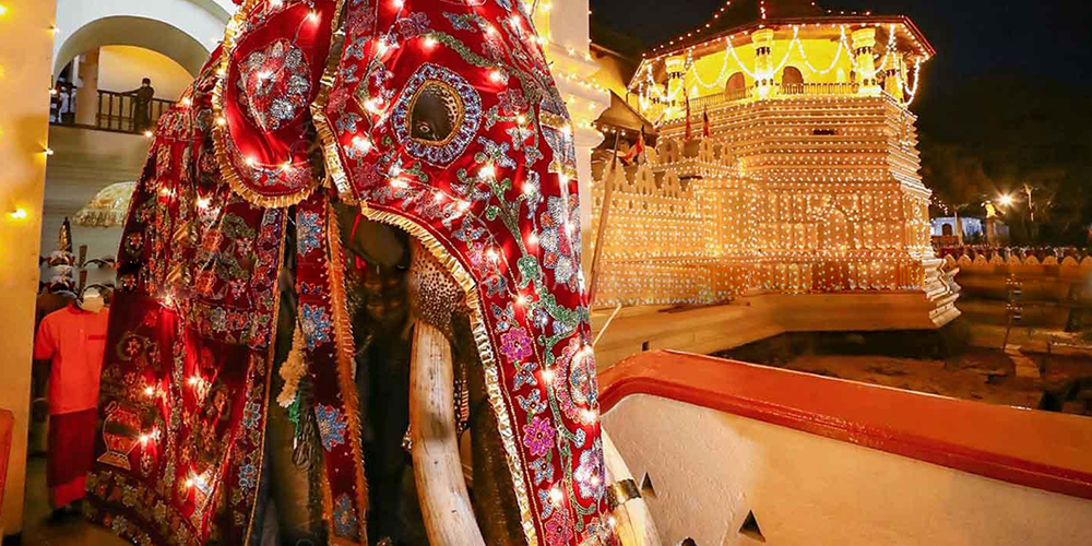 Kandy Perahera Festival 2023