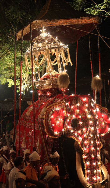 Kandy Perahera Festival 2023