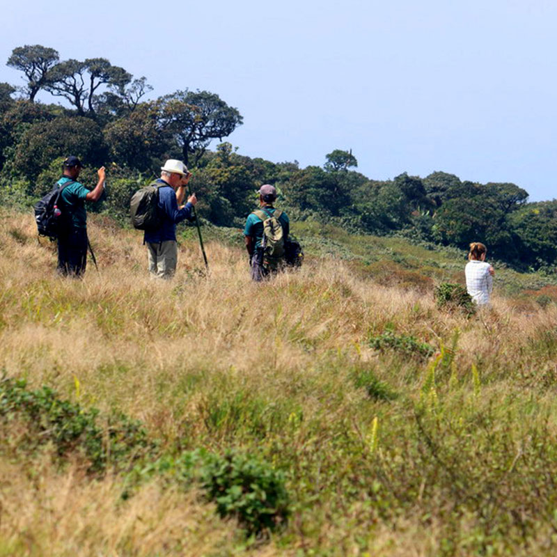 Trekking - Sri Lanka - Knuckles - Mountain beauty - Hill Country - Hill Country Sri Lanka - Hiking - Trekking Trips in Knuckles - Knuckes Trek - Trips to Knuckles - Trekking trips in Sri Lanka - Sri Lanka Trekking Destinations - Knuckles Mountains Trekking Tours - Knuckles Trekking and Hiking