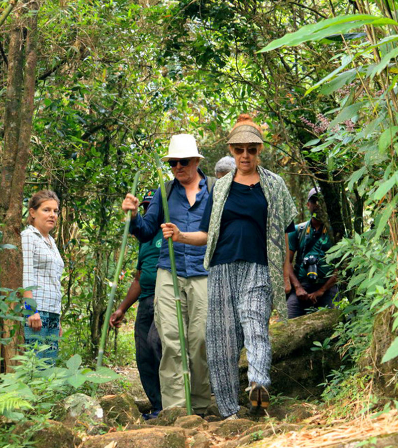 Trekking - Sri Lanka - Knuckles - Mountain beauty - Hill Country - Hill Country Sri Lanka - Hiking - Trekking Trips in Knuckles - Knuckes Trek - Trips to Knuckles - Trekking trips in Sri Lanka - Sri Lanka Trekking Destinations - Knuckles Mountains Trekking Tours - Knuckles Trekking and Hiking