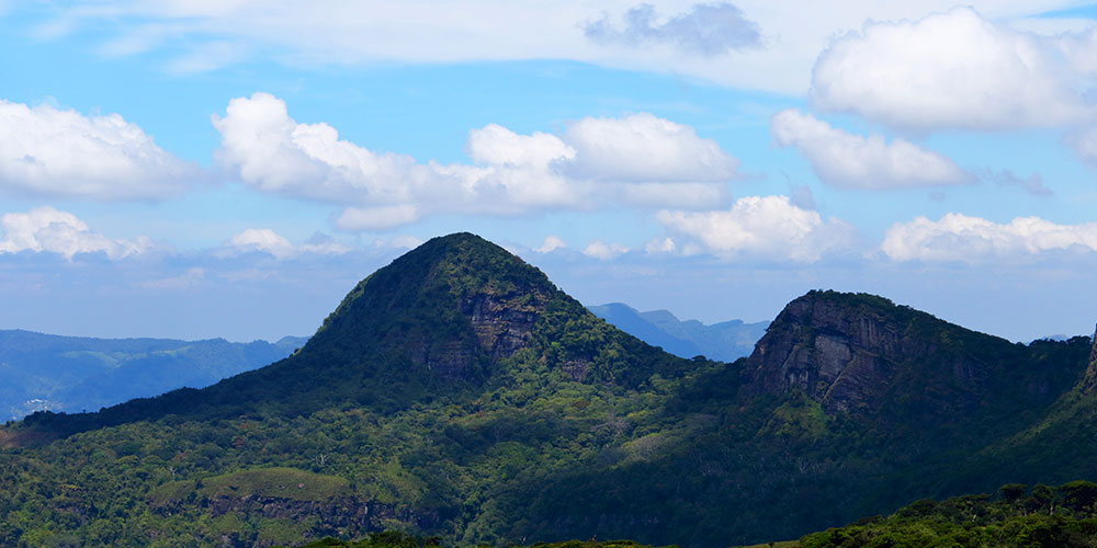 Trekking - Sri Lanka - Knuckles - Mountain beauty - Hill Country - Hill Country Sri Lanka - Hiking - Trekking Trips in Knuckles - Knuckes Trek - Trips to Knuckles - Trekking trips in Sri Lanka - Sri Lanka Trekking Destinations - Knuckles Mountains Trekking Tours - Knuckles Trekking and Hiking
