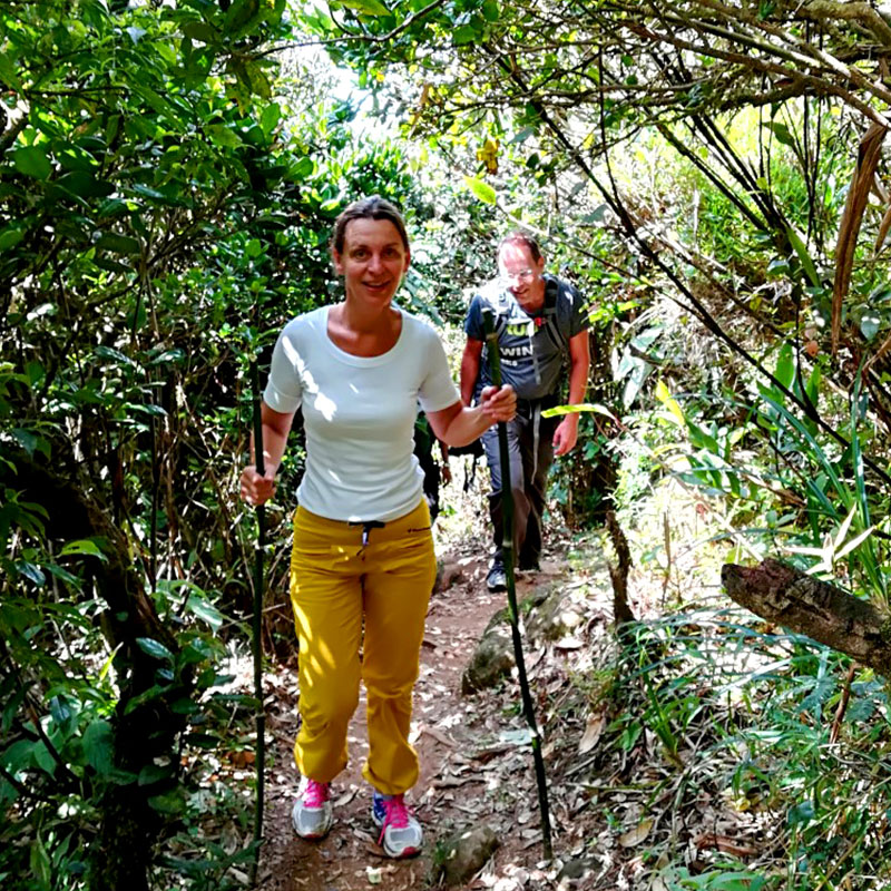 Trekking - Sri Lanka - Knuckles - Mountain beauty - Hill Country - Hill Country Sri Lanka - Hiking - Trekking Trips in Knuckles - Knuckes Trek - Trips to Knuckles - Trekking trips in Sri Lanka - Sri Lanka Trekking Destinations - Knuckles Mountains Trekking Tours - Knuckles Trekking and Hiking