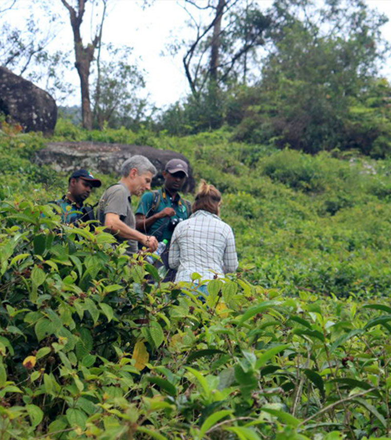 Trekking - Sri Lanka - Knuckles - Mountain beauty - Hill Country - Hill Country Sri Lanka - Hiking - Trekking Trips in Knuckles - Knuckes Trek - Trips to Knuckles - Trekking trips in Sri Lanka - Sri Lanka Trekking Destinations - Knuckles Mountains Trekking Tours - Knuckles Trekking and Hiking