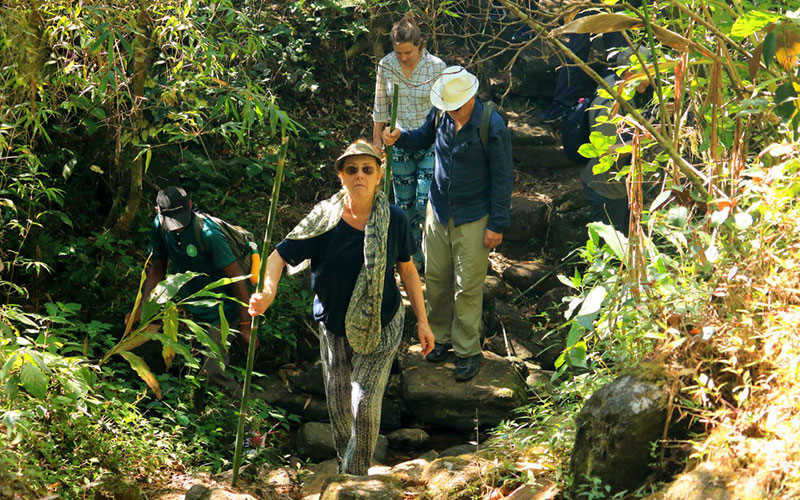 Trekking - Sri Lanka - Knuckles - Mountain beauty - Hill Country - Hill Country Sri Lanka - Hiking - Trekking Trips in Knuckles - Knuckes Trek - Trips to Knuckles - Trekking trips in Sri Lanka - Sri Lanka Trekking Destinations - Knuckles Mountains Trekking Tours - Knuckles Trekking and Hiking
