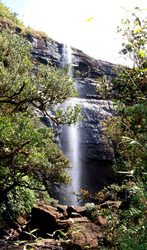 Trekking - Sri Lanka - Knuckles - Mountain beauty - Hill Country - Hill Country Sri Lanka - Hiking - Trekking Trips in Knuckles - Knuckes Trek - Trips to Knuckles - Trekking trips in Sri Lanka - Sri Lanka Trekking Destinations - Knuckles Mountains Trekking Tours - Knuckles Trekking and Hiking