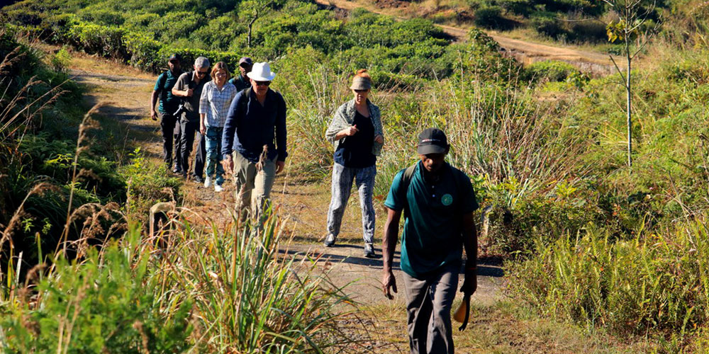 Trekking - Sri Lanka - Knuckles - Mountain beauty - Hill Country - Hill Country Sri Lanka - Hiking - Trekking Trips in Knuckles - Knuckes Trek - Trips to Knuckles - Trekking trips in Sri Lanka - Sri Lanka Trekking Destinations - Knuckles Mountains Trekking Tours - Knuckles Trekking and Hiking