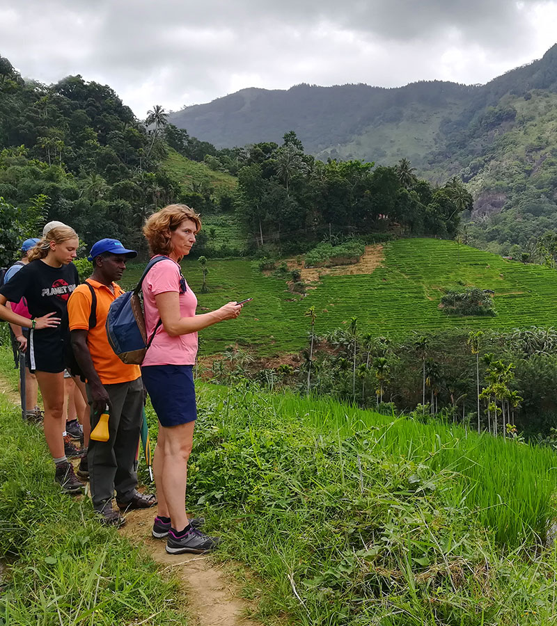 Rural Village Walk in Kandy - Village Tours in Kandy Sri Lanka - Sri Lanka Village Walks - Mountain Walks in Sri Lanka - Sri Lanka Rural Villages - Rural Village Walk Experience - Rural Village Walks - Village walking tours from Kandy