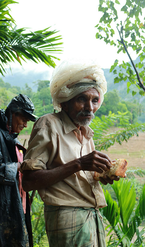 Rural Village Walk in Kandy - Village Tours in Kandy Sri Lanka - Sri Lanka Village Walks - Mountain Walks in Sri Lanka - Sri Lanka Rural Villages - Rural Village Walk Experience - Rural Village Walks - Village walking tours from Kandy