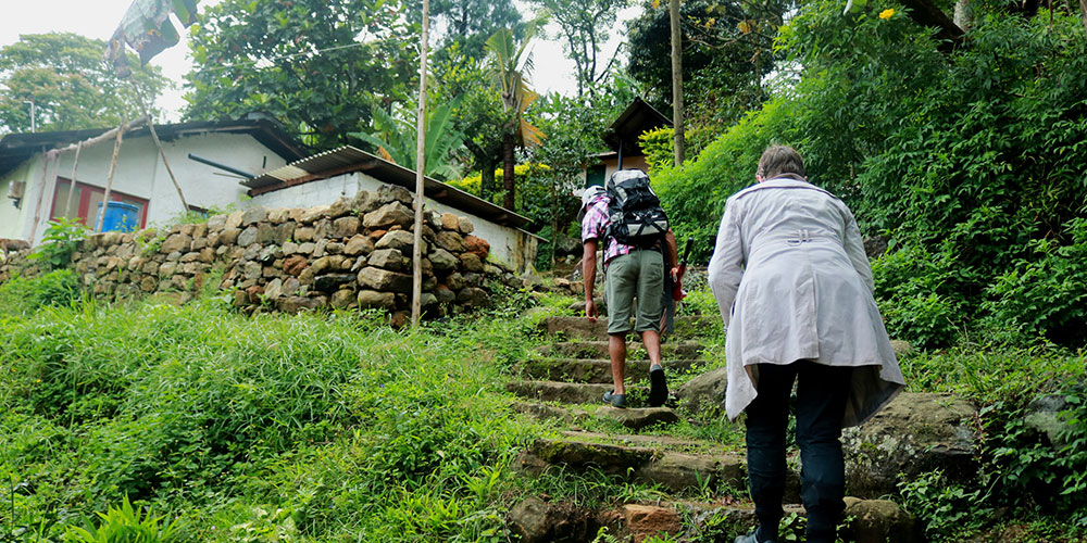 Rural Village Walk in Kandy - Village Tours in Kandy Sri Lanka - Sri Lanka Village Walks - Mountain Walks in Sri Lanka - Sri Lanka Rural Villages - Rural Village Walk Experience - Rural Village Walks - Village walking tours from Kandy