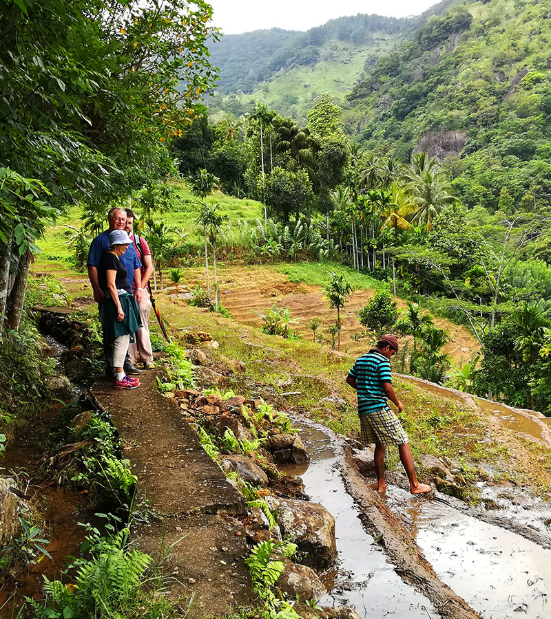 Rural Village Walk in Kandy - Village Tours in Kandy Sri Lanka - Sri Lanka Village Walks - Mountain Walks in Sri Lanka - Sri Lanka Rural Villages - Rural Village Walk Experience - Rural Village Walks - Village walking tours from Kandy