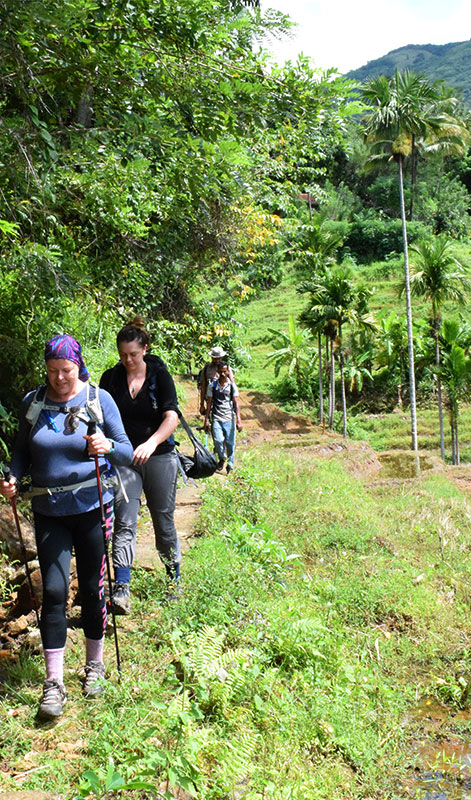 Rural Village Walk in Kandy - Village Tours in Kandy Sri Lanka - Sri Lanka Village Walks - Mountain Walks in Sri Lanka - Sri Lanka Rural Villages - Rural Village Walk Experience - Rural Village Walks - Village walking tours from Kandy