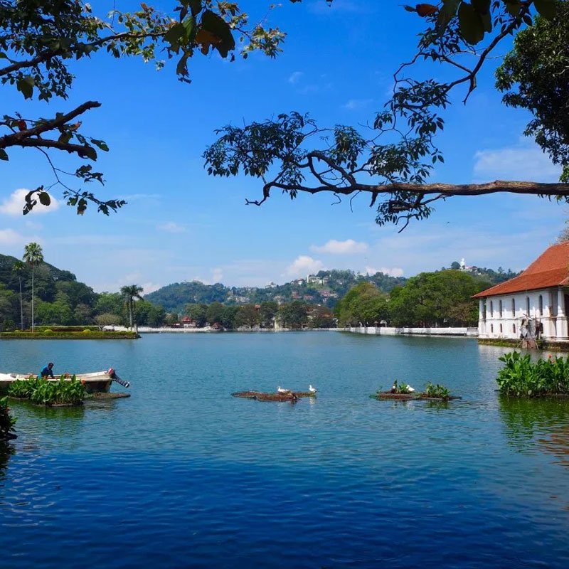 Experiencing a visit to the Temple of the Tooth - Visit Temple of the Sacred Tooth Relic on your trip to Kandy - Temple of the tooth relic, Kandy - Kandy Day Tours - Cultural Trips in Kandy Sri Lanka - Sri Lanka Cultural Trips - Experiences in Kandy