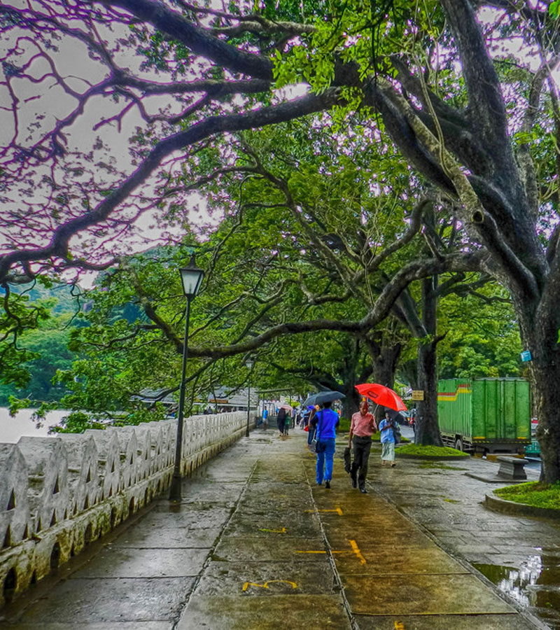 Experiencing a visit to the Temple of the Tooth - Visit Temple of the Sacred Tooth Relic on your trip to Kandy - Temple of the tooth relic, Kandy - Kandy Day Tours - Cultural Trips in Kandy Sri Lanka - Sri Lanka Cultural Trips - Experiences in Kandy