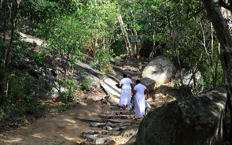 Kumana Wildlife safari tours - Sri Lanka Off the Beaten track - Kumana national park bird watching tours – Kumana Kudumbigala tour – Kumana Okanda kovil tour - Kumana National Park in Sri Lanka - Leopards Safaris in Kumana