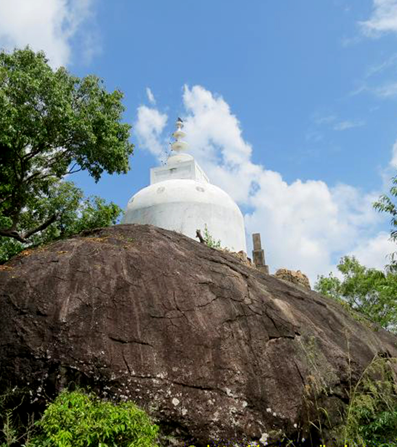 Kumana Wildlife safari tours - Sri Lanka Off the Beaten track - Kumana national park bird watching tours – Kumana Kudumbigala tour – Kumana Okanda kovil tour - Kumana National Park in Sri Lanka - Leopards Safaris in Kumana