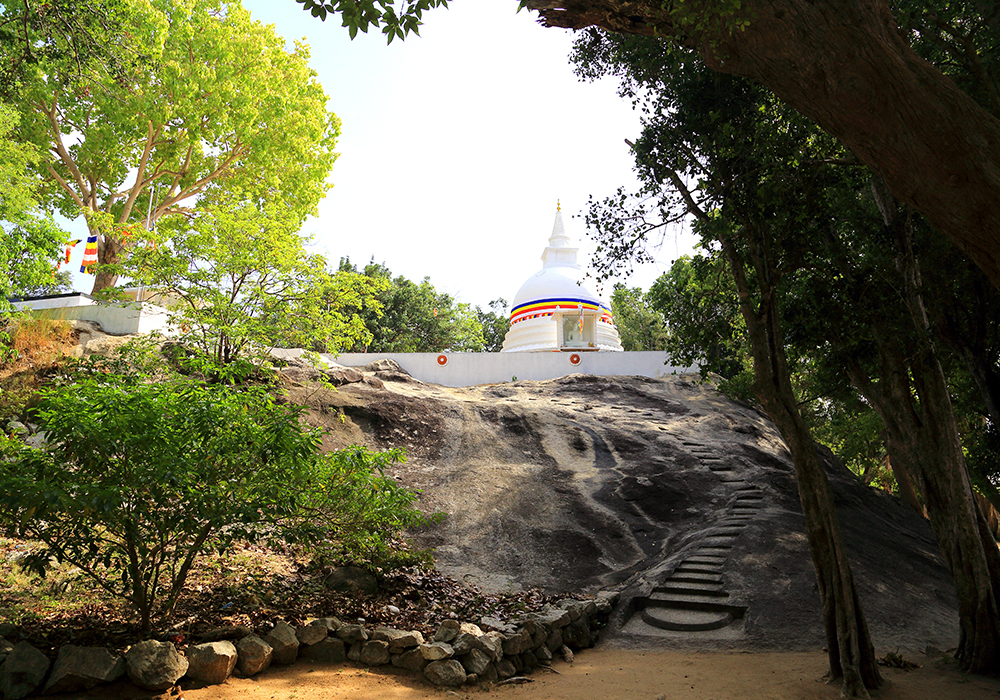 Kumana Wildlife safari tours - Sri Lanka Off the Beaten track - Kumana national park bird watching tours – Kumana Kudumbigala tour – Kumana Okanda kovil tour - Kumana National Park in Sri Lanka - Leopards Safaris in Kumana