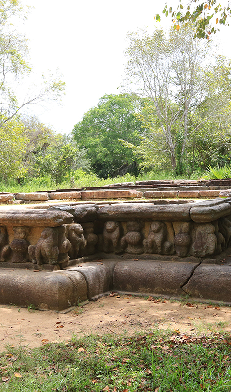 Kumana Wildlife safari tours - Sri Lanka Off the Beaten track - Kumana national park bird watching tours – Kumana Kudumbigala tour – Kumana Okanda kovil tour - Kumana National Park in Sri Lanka - Leopards Safaris in Kumana