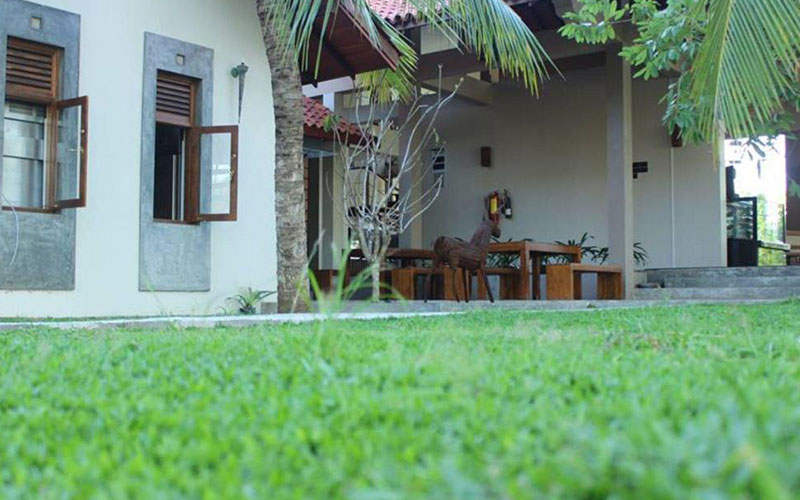 luxury holidays in Wilpattu National Park Sri Lanka - Best hotels to stay in Wilpattu Sri Lanka -  Hotels in Wilpattu Sri Lanka - Ibis Wilpattu Prices - Hotel Sinharagama Prices - Leopard Trails Wilpattu Prices - Wilpattu Tree House - Thamaravila Prices - Wilpattu Dolosmahe guest house prices - Palm Garden Village Prices - Wild Wadi eluwankulama Prices - Forest Rock Garden Anuradhapura Prices - Backwaters Lodge Wilpattu Prices - Wilpattu Safari Packages