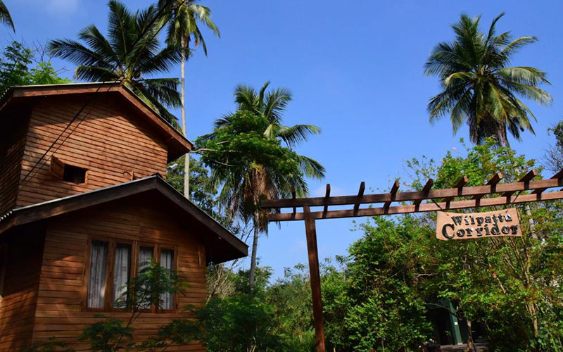 luxury holidays in Wilpattu National Park Sri Lanka - Best hotels to stay in Wilpattu Sri Lanka -  Hotels in Wilpattu Sri Lanka - Ibis Wilpattu Prices - Hotel Sinharagama Prices - Leopard Trails Wilpattu Prices - Wilpattu Tree House - Thamaravila Prices - Wilpattu Dolosmahe guest house prices - Palm Garden Village Prices - Wild Wadi eluwankulama Prices - Forest Rock Garden Anuradhapura Prices - Backwaters Lodge Wilpattu Prices - Wilpattu Safari Packages