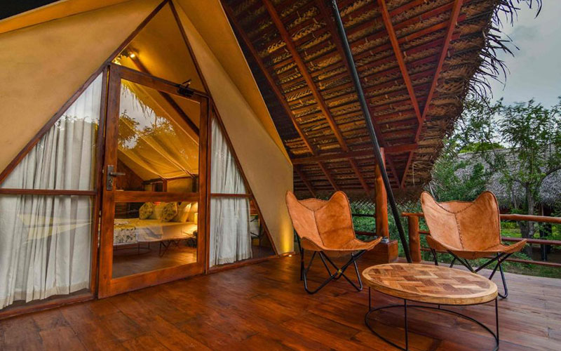 luxury holidays in Wilpattu National Park Sri Lanka - Best hotels to stay in Wilpattu Sri Lanka -  Hotels in Wilpattu Sri Lanka - Ibis Wilpattu Prices - Hotel Sinharagama Prices - Leopard Trails Wilpattu Prices - Wilpattu Tree House - Thamaravila Prices - Wilpattu Dolosmahe guest house prices - Palm Garden Village Prices - Wild Wadi eluwankulama Prices - Forest Rock Garden Anuradhapura Prices - Backwaters Lodge Wilpattu Prices - Wilpattu Safari Packages