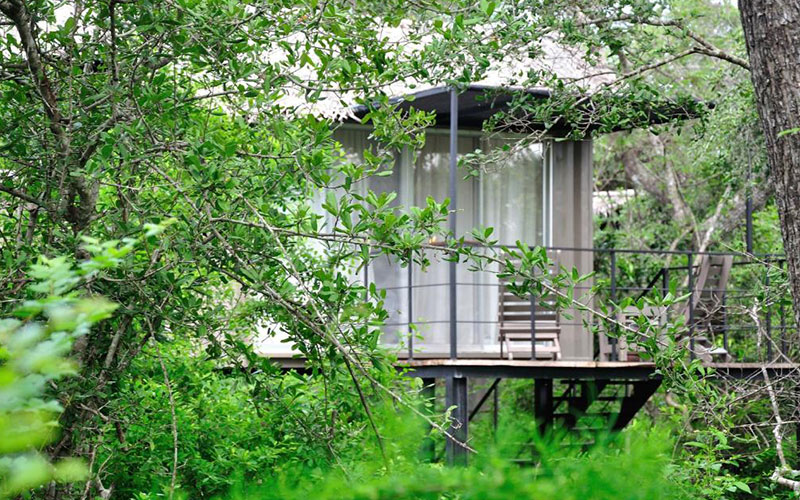 luxury holidays in Wilpattu National Park Sri Lanka - Best hotels to stay in Wilpattu Sri Lanka -  Hotels in Wilpattu Sri Lanka - Ibis Wilpattu Prices - Hotel Sinharagama Prices - Leopard Trails Wilpattu Prices - Wilpattu Tree House - Thamaravila Prices - Wilpattu Dolosmahe guest house prices - Palm Garden Village Prices - Wild Wadi eluwankulama Prices - Forest Rock Garden Anuradhapura Prices - Backwaters Lodge Wilpattu Prices - Wilpattu Safari Packages