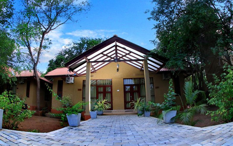 luxury holidays in Yala National Park Sri Lanka - Best hotels to stay in Yala Sri Lanka -  Hotels in Yala Sri Lanka -   Jetwing Yala Prices | Cinnamon Wild Prices - Yala Safari Packages - Safari Lodge Yala Prices