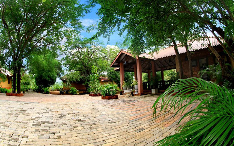 luxury holidays in Yala National Park Sri Lanka - Best hotels to stay in Yala Sri Lanka -  Hotels in Yala Sri Lanka -   Jetwing Yala Prices | Cinnamon Wild Prices - Yala Safari Packages - Safari Lodge Yala Prices