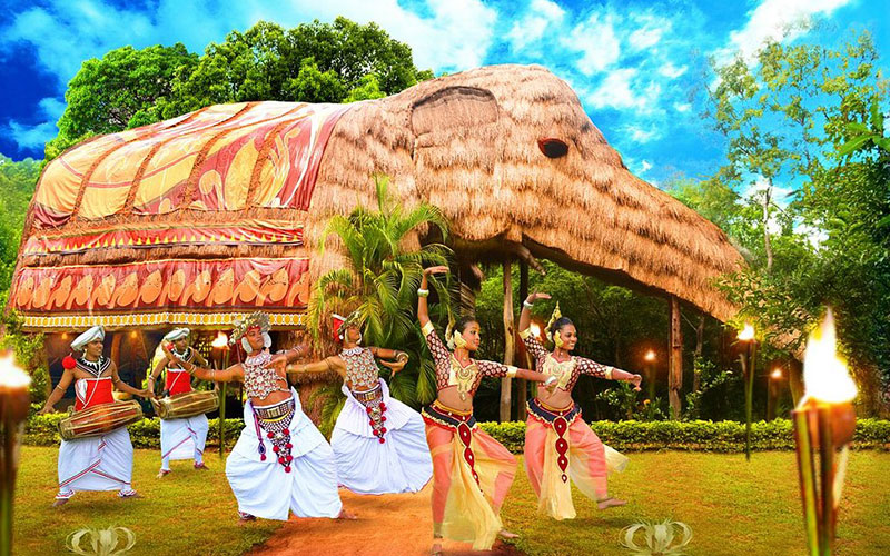luxury holidays in Yala National Park Sri Lanka - Best hotels to stay in Yala Sri Lanka -  Hotels in Yala Sri Lanka -   Jetwing Yala Prices | Cinnamon Wild Prices - Yala Safari Packages - Kumbuk River Resort Prices