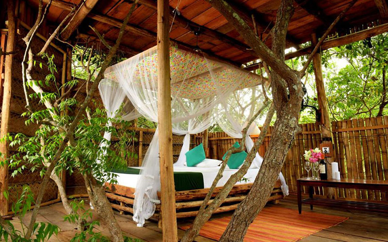 luxury holidays in Yala National Park Sri Lanka - Best hotels to stay in Yala Sri Lanka -  Hotels in Yala Sri Lanka -   Jetwing Yala Prices | Cinnamon Wild Prices - Yala Safari Packages - Saraii Village Prices